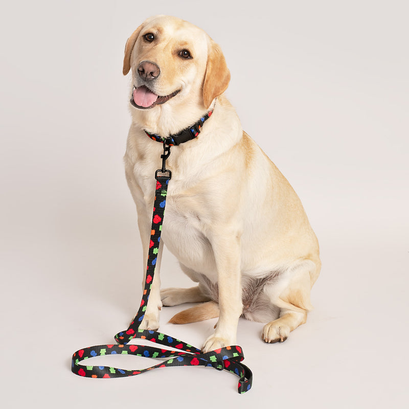 South Park Boys Pet Leash